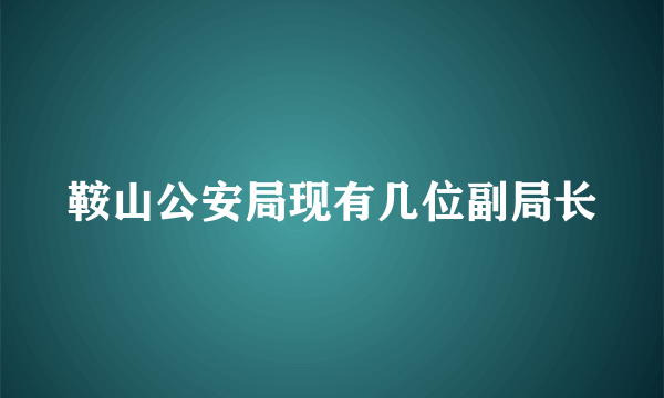 鞍山公安局现有几位副局长