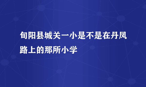 旬阳县城关一小是不是在丹凤路上的那所小学