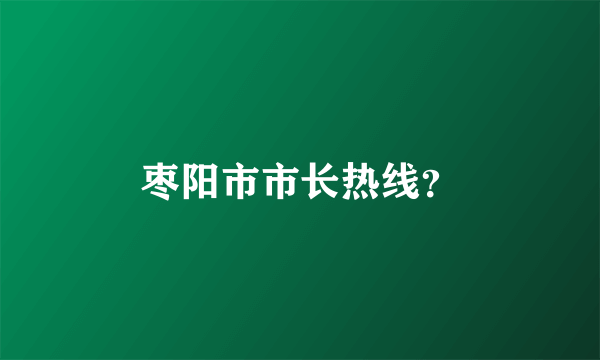 枣阳市市长热线？