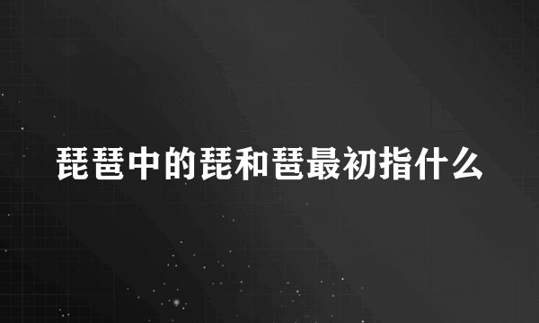 琵琶中的琵和琶最初指什么