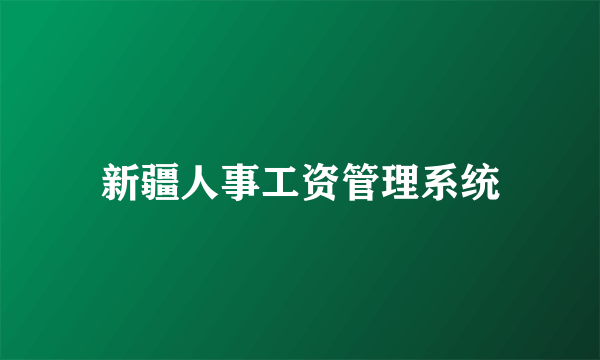 新疆人事工资管理系统