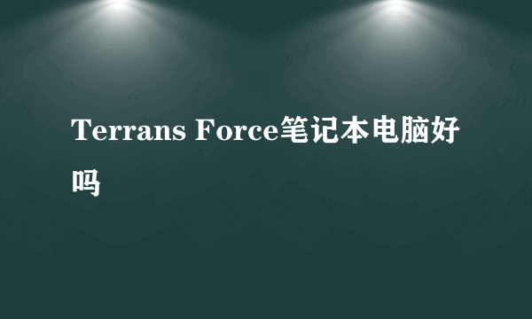 Terrans Force笔记本电脑好吗