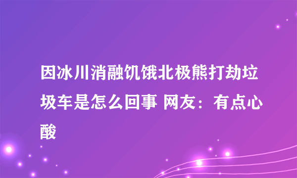 因冰川消融饥饿北极熊打劫垃圾车是怎么回事 网友：有点心酸