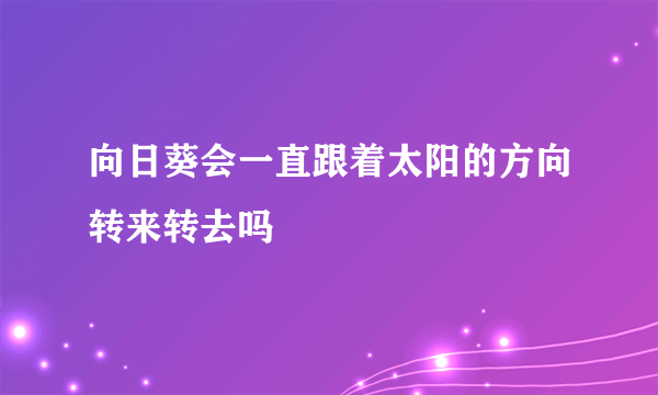 向日葵会一直跟着太阳的方向转来转去吗