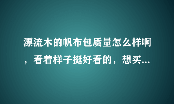 漂流木的帆布包质量怎么样啊，看着样子挺好看的，想买一个背，就是不知道质量如何？