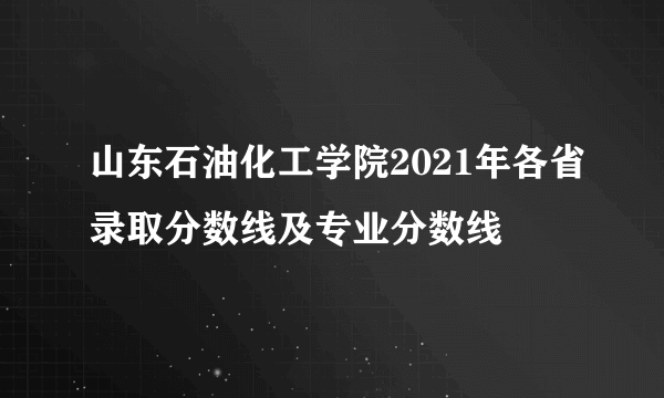 山东石油化工学院2021年各省录取分数线及专业分数线