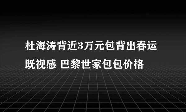 杜海涛背近3万元包背出春运既视感 巴黎世家包包价格