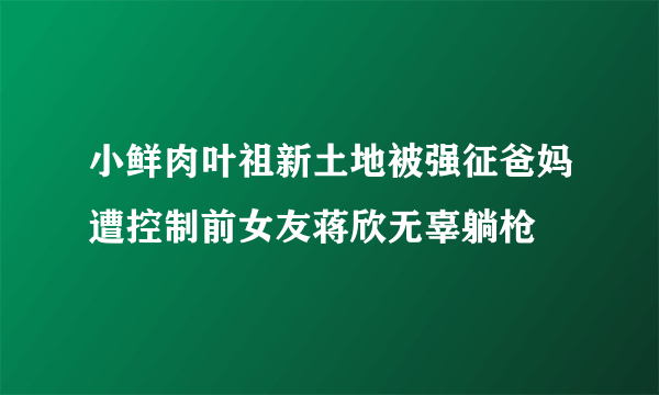 小鲜肉叶祖新土地被强征爸妈遭控制前女友蒋欣无辜躺枪