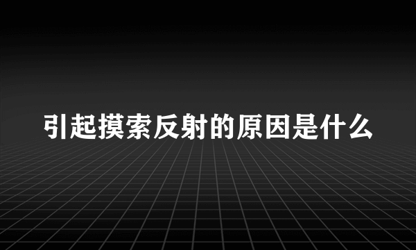 引起摸索反射的原因是什么