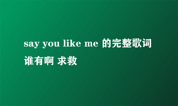 say you like me 的完整歌词谁有啊 求救