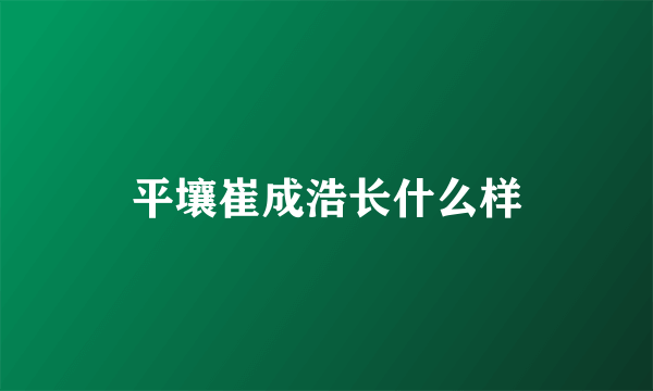 平壤崔成浩长什么样