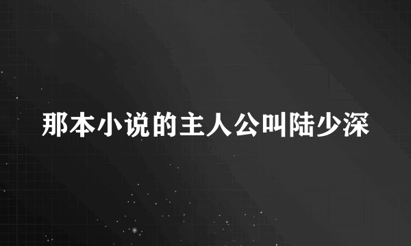 那本小说的主人公叫陆少深