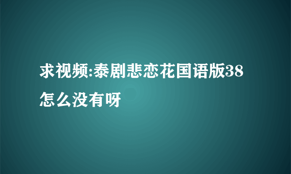 求视频:泰剧悲恋花国语版38怎么没有呀