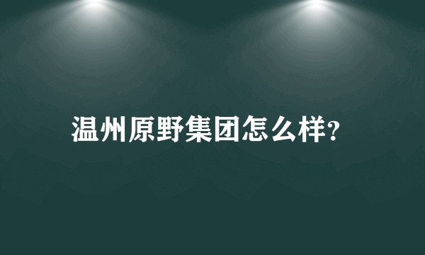 温州原野集团怎么样？