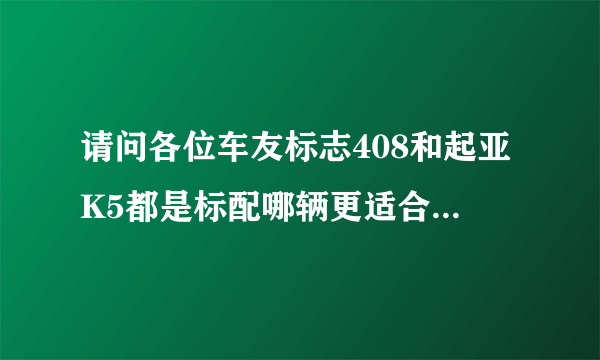 请问各位车友标志408和起亚K5都是标配哪辆更适合年轻家庭？哪辆比较保值？性价比更高一点？谢谢！