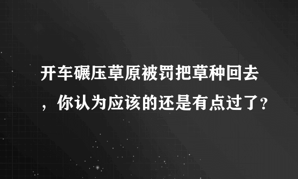 开车碾压草原被罚把草种回去，你认为应该的还是有点过了？