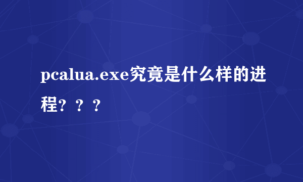 pcalua.exe究竟是什么样的进程？？？