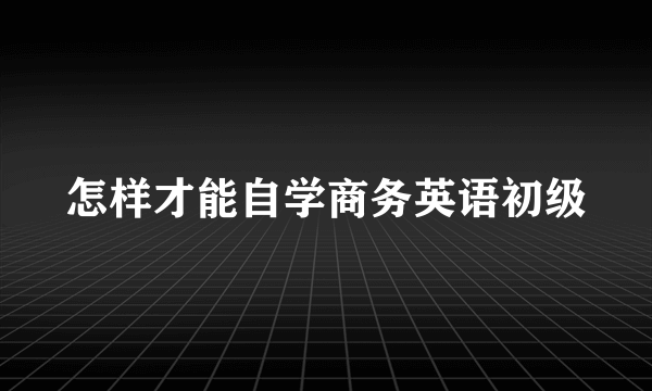 怎样才能自学商务英语初级