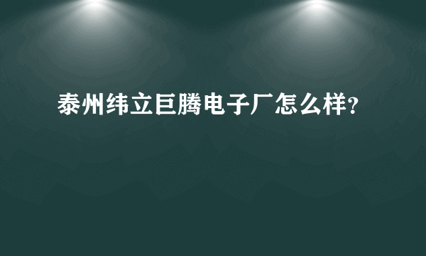 泰州纬立巨腾电子厂怎么样？