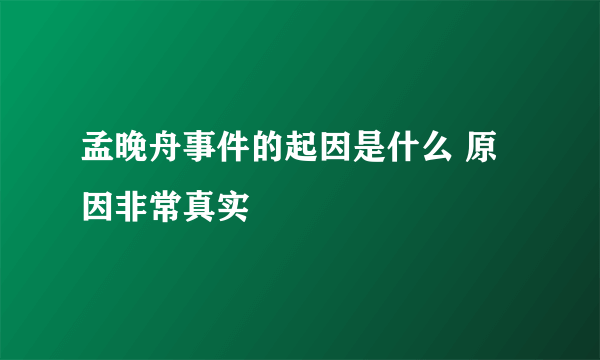 孟晚舟事件的起因是什么 原因非常真实