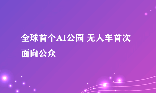 全球首个AI公园 无人车首次面向公众