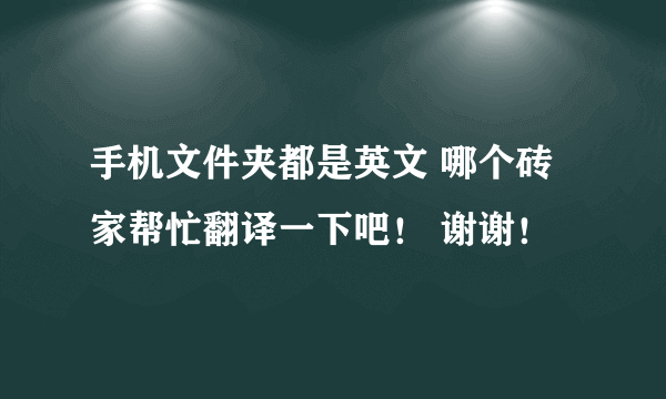 手机文件夹都是英文 哪个砖家帮忙翻译一下吧！ 谢谢！