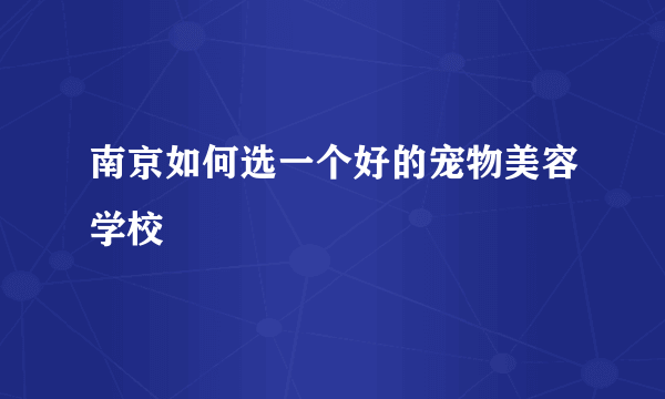 南京如何选一个好的宠物美容学校