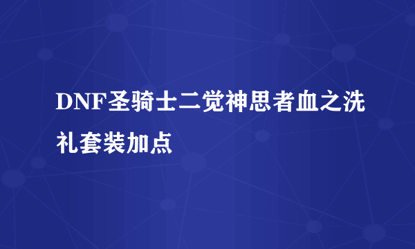 DNF圣骑士二觉神思者血之洗礼套装加点