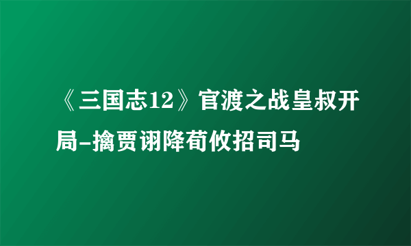 《三国志12》官渡之战皇叔开局-擒贾诩降荀攸招司马