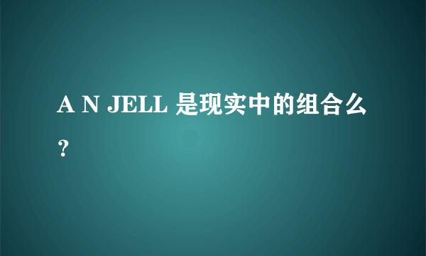 A N JELL 是现实中的组合么？