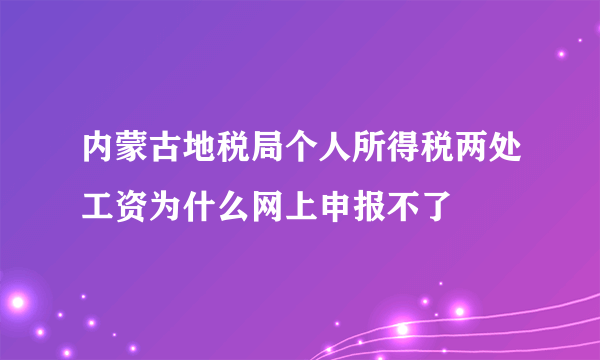 内蒙古地税局个人所得税两处工资为什么网上申报不了