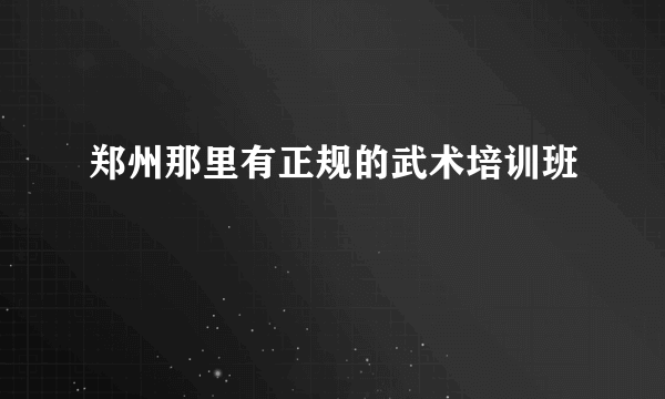 郑州那里有正规的武术培训班