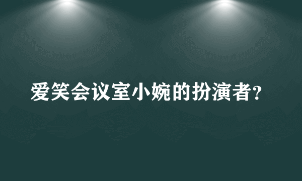 爱笑会议室小婉的扮演者？