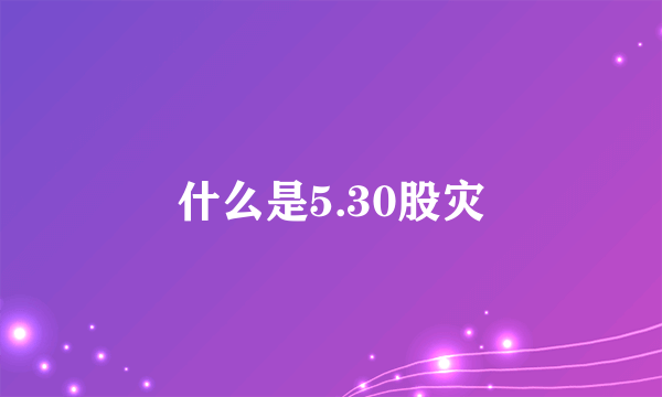 什么是5.30股灾