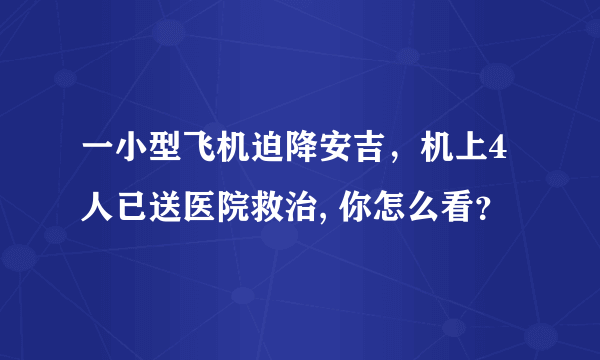 一小型飞机迫降安吉，机上4人已送医院救治, 你怎么看？