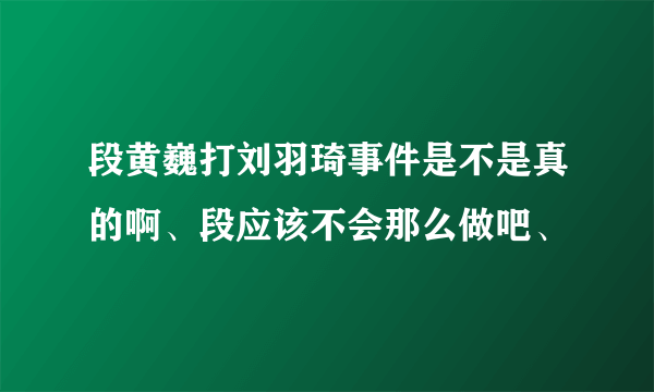 段黄巍打刘羽琦事件是不是真的啊、段应该不会那么做吧、