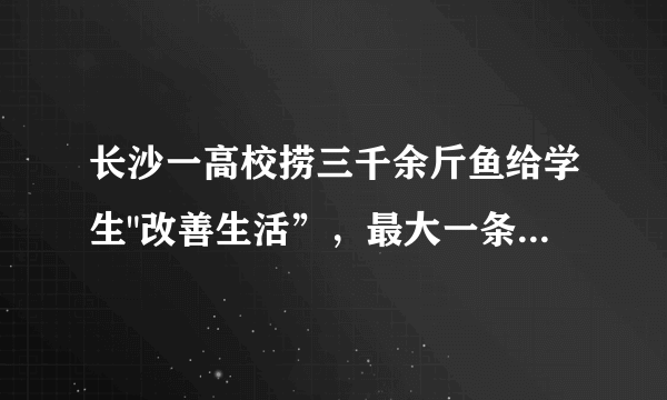 长沙一高校捞三千余斤鱼给学生