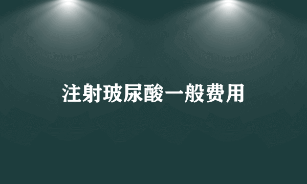 注射玻尿酸一般费用