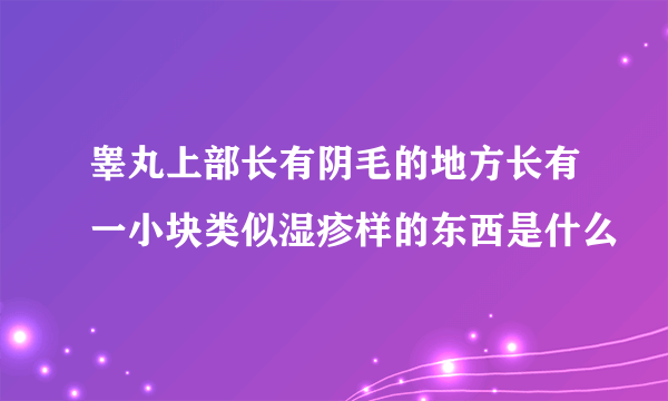 睾丸上部长有阴毛的地方长有一小块类似湿疹样的东西是什么