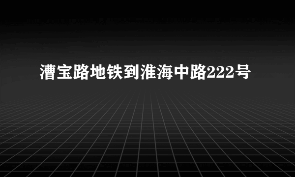 漕宝路地铁到淮海中路222号