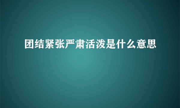 团结紧张严肃活泼是什么意思