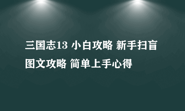 三国志13 小白攻略 新手扫盲图文攻略 简单上手心得