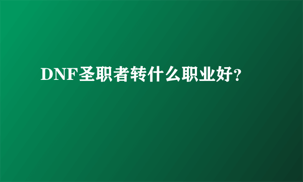 DNF圣职者转什么职业好？