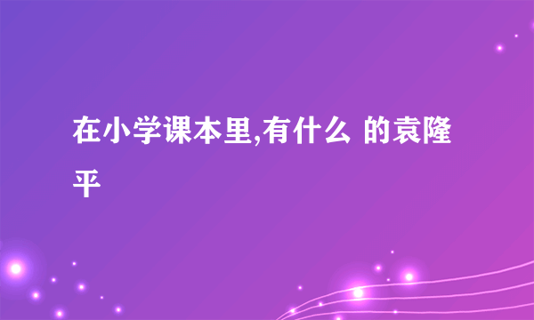 在小学课本里,有什么 的袁隆平