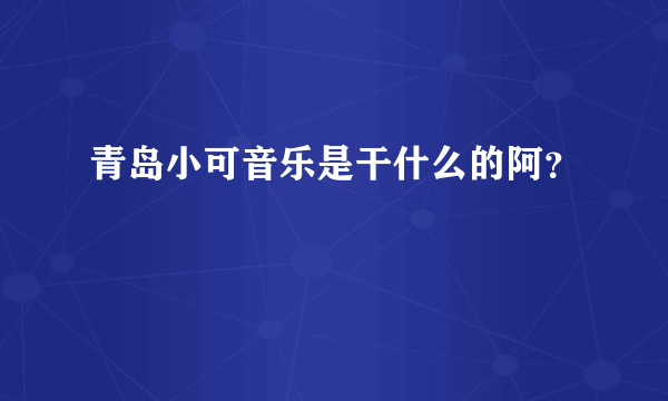 青岛小可音乐是干什么的阿？