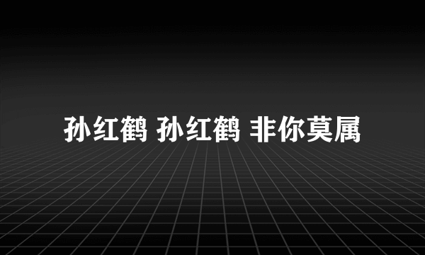 孙红鹤 孙红鹤 非你莫属