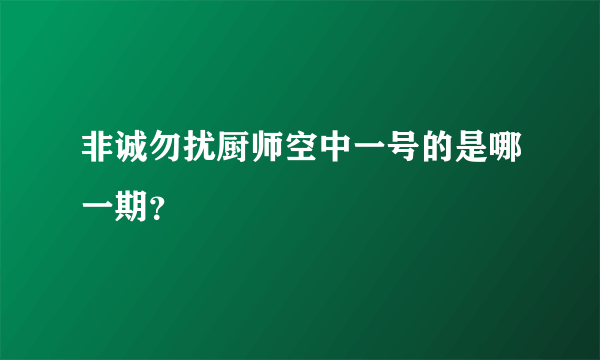 非诚勿扰厨师空中一号的是哪一期？