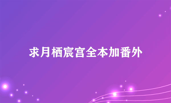 求月栖宸宫全本加番外