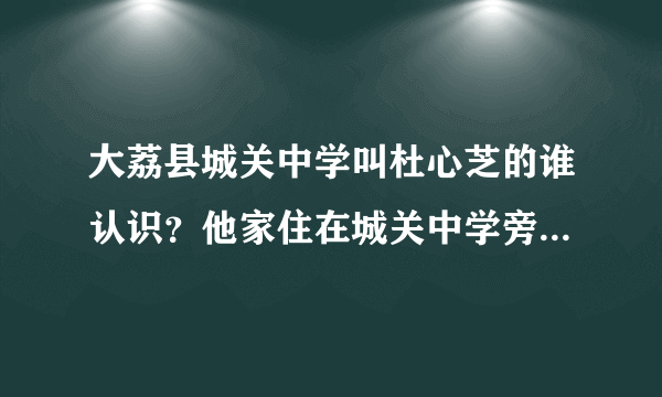 大荔县城关中学叫杜心芝的谁认识？他家住在城关中学旁边！拜托了，认识的留下她QQ号谢谢了，自己的也行