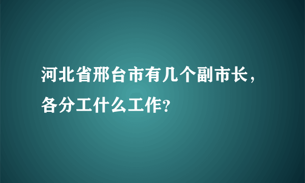 河北省邢台市有几个副市长，各分工什么工作？